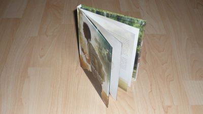 12 év rabszolgaság
