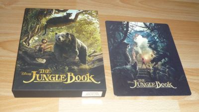 A dzsungel könyve (2016) (élőszereplős) (BD + DVD)
