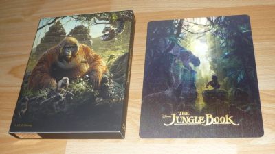 A dzsungel könyve (2016) (élőszereplős) (BD + DVD)
